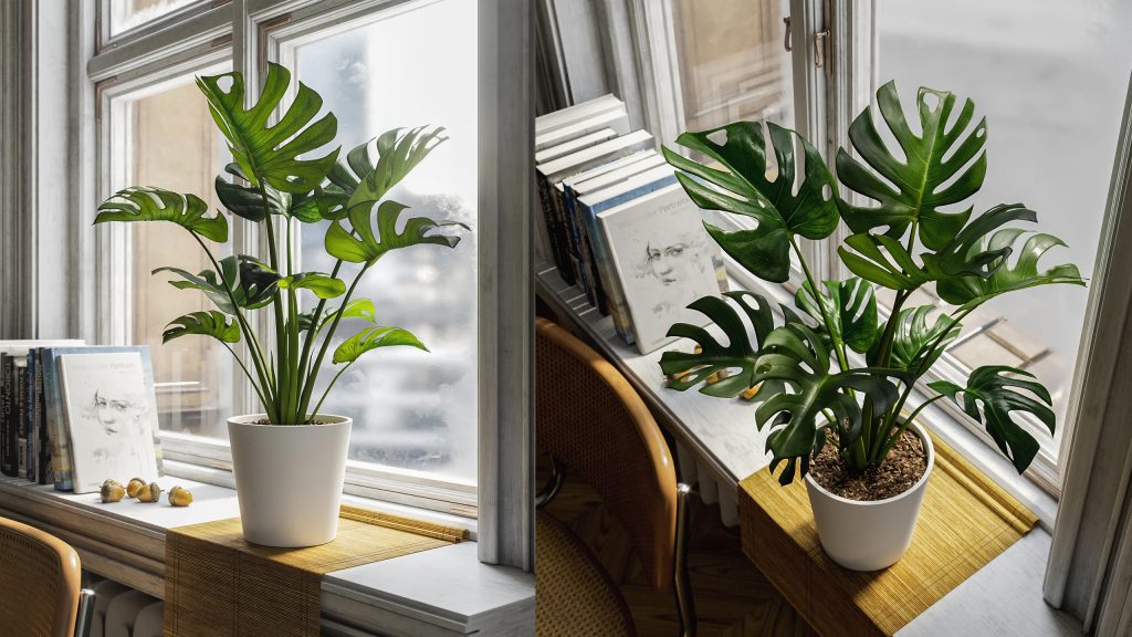 156005c5ba20251105142224