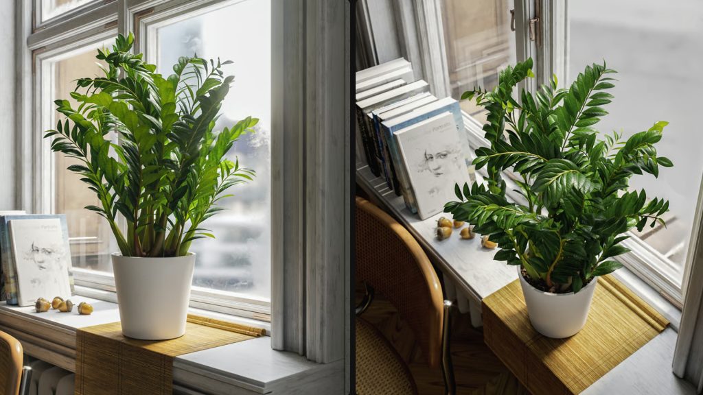 156005c5ba20251106213018