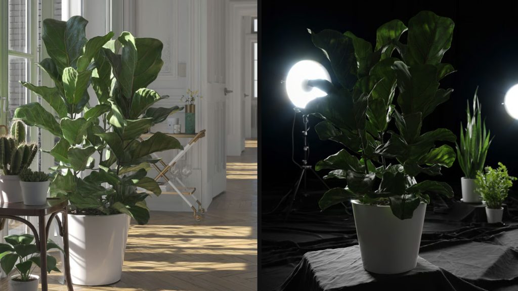 156005c5ba20251114154639