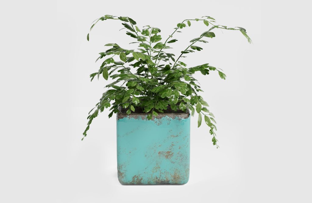 64ac4a858820251101115356