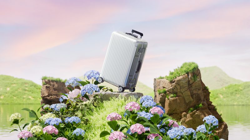 云端旅行箱：藏在绣球花里的梦幻冒险-安主的3D模型库