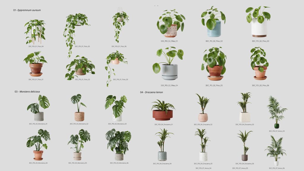 156005c5ba20251201150711