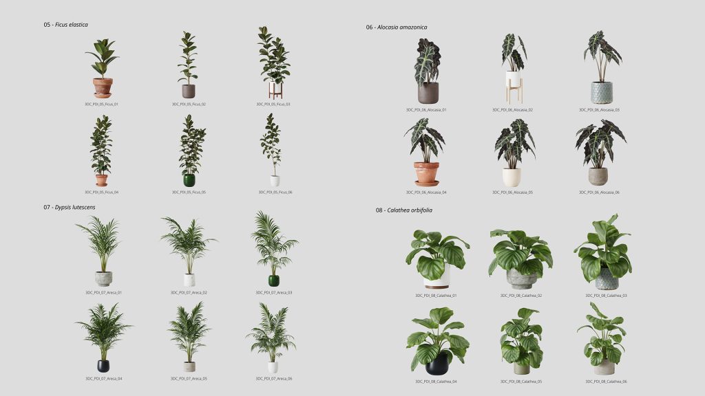 799bad5a3b20251201150711